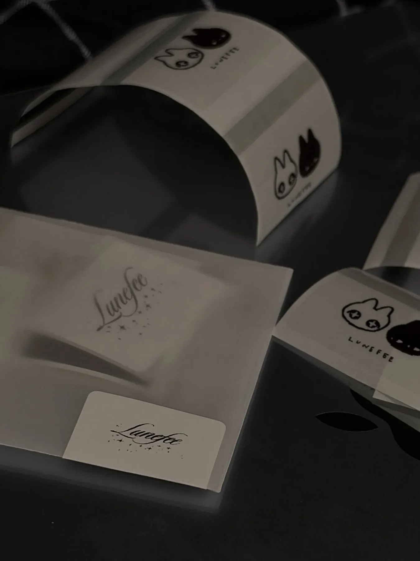 Lunefee packaging — frosted sleeves and stickers with the logo and Lune & Fee